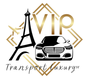 logo vip copy